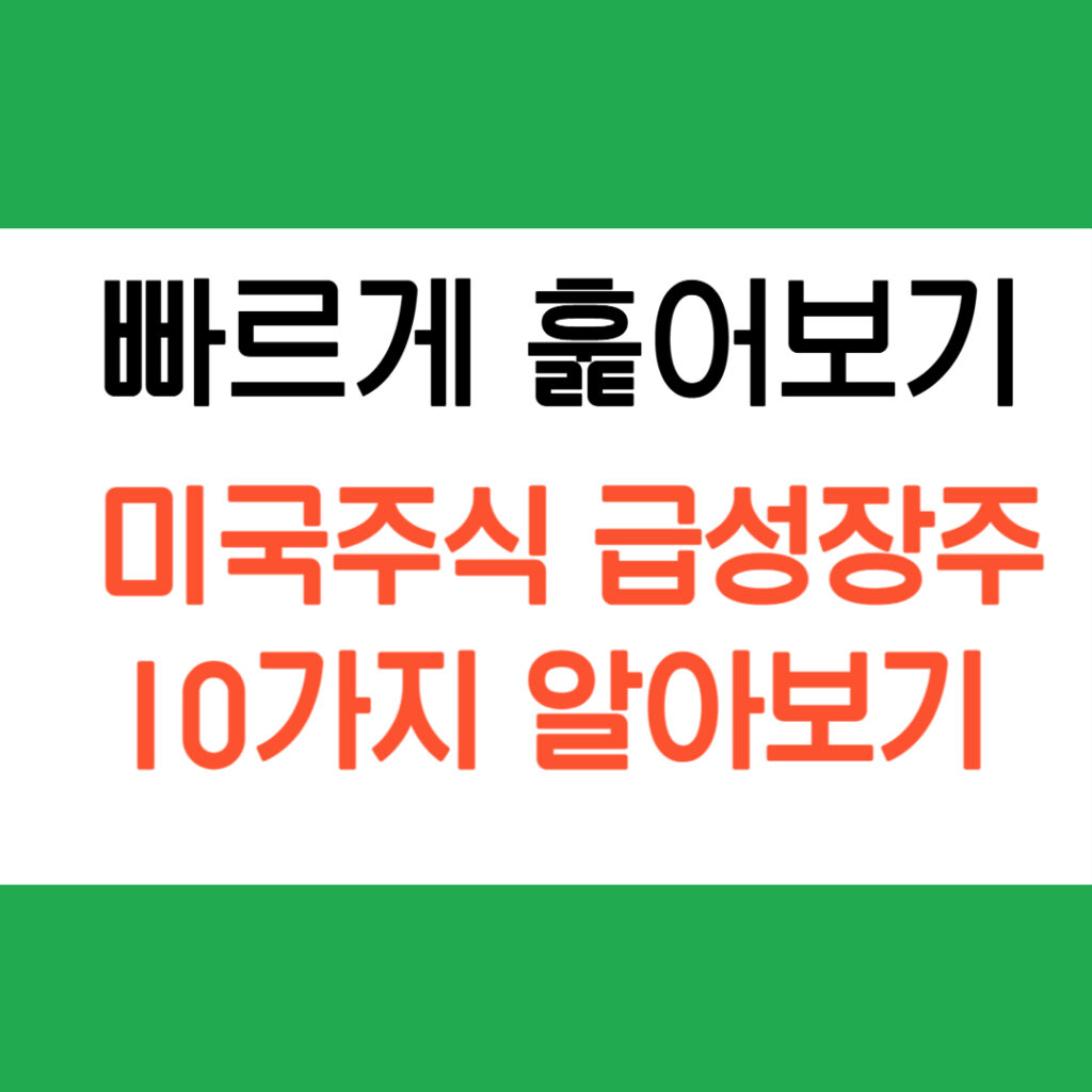급성장주 미국주식