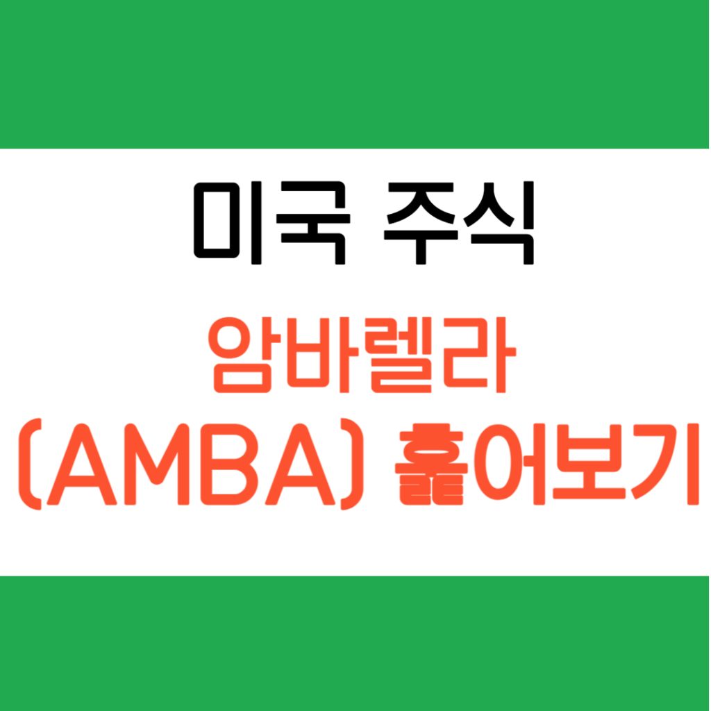 암바렐라, Edge AI를 이끄는 핵심 기업 - 암바렐라 훑어보기